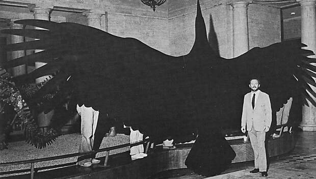 9. Аргентавис 9. Аргентавис доисторические животные, интересное, история, факты