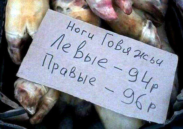 Правые, что, более накаченные? | Фото: Chert-poberi.ru. Правые, что, более накаченные? | Фото: Chert-poberi.ru.