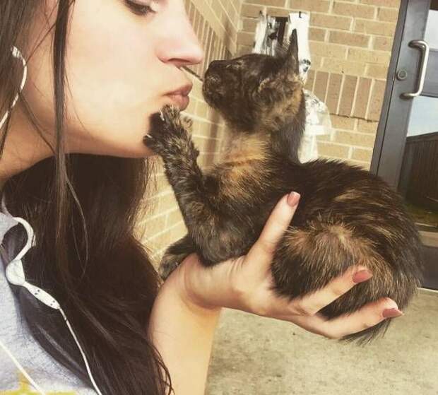 Прикольные картинки. Дневной выпуск (60 фото)