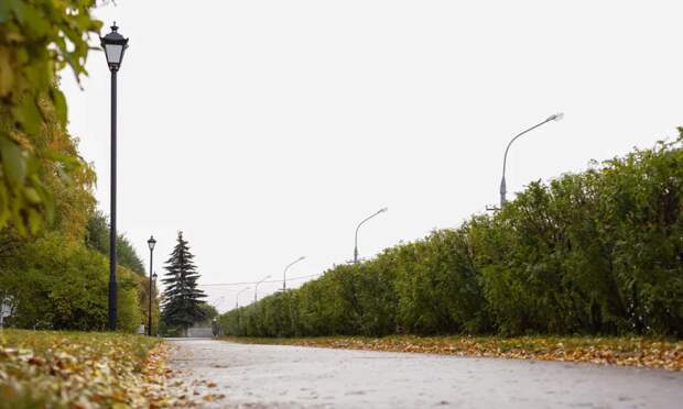 На Архангельскую область надвигается похолодание