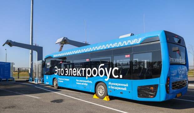 Горожан предупредили об изменении маршрута автобусов м5, м6 и 220 в начале июня