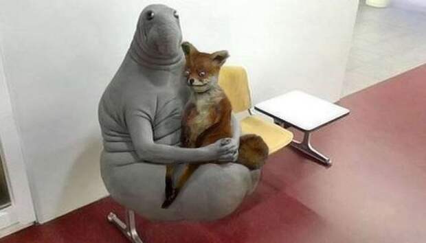 Internet