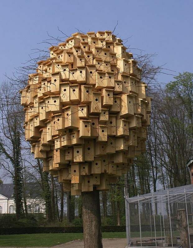 kartinok-veselyh-interesnyh-kartinki-smeshnye-kartinki-fotoprikoly kartinok-veselyh-interesnyh-kartinki-smeshnye-kartinki-fotoprikoly