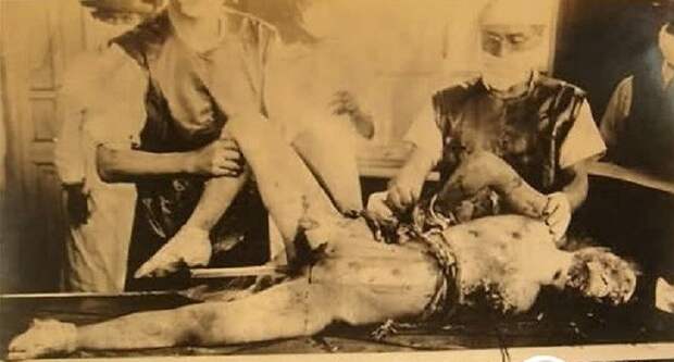 История отряда японских врачей-убийц история, отряд 731, преступления, япония