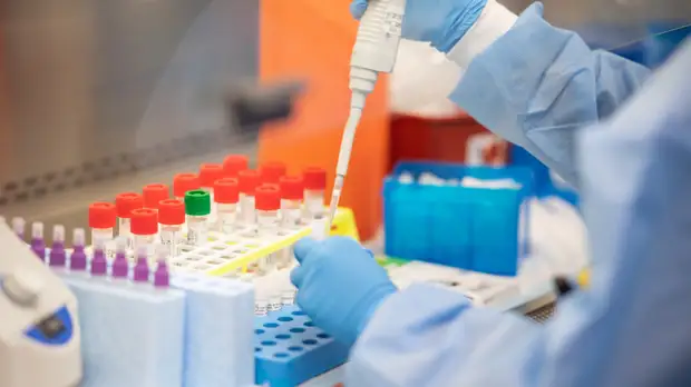 Микробиолог Руженцова рассказала о возможности создания молока с антителами против коронавируса