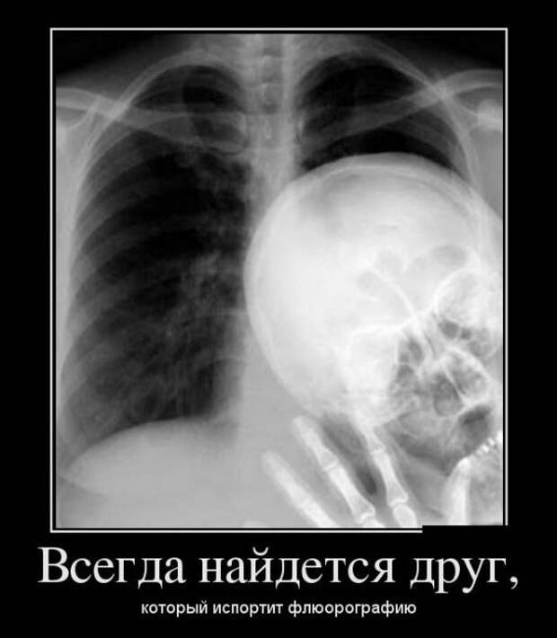 Забавные демотиваторы для веселья и позитива (12 фото) Забавные демотиваторы для веселья и позитива (12 фото)