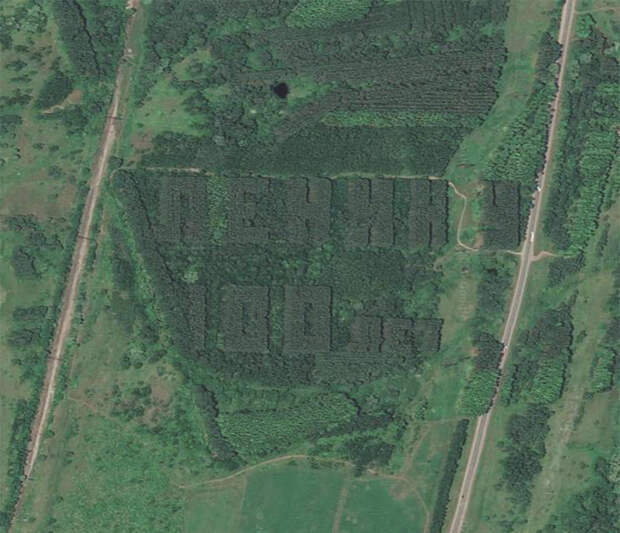 Советские надписи из деревьев, которые видно из космоса (ФОТО)