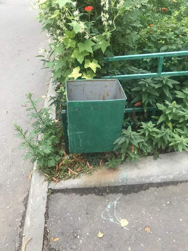 Во дворе дома на Малой Ботанической заменили урну