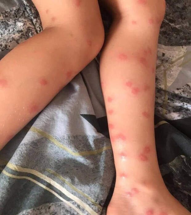 photo_2024-07-24_09-57-21 photo_2024-07-24_09-57-21