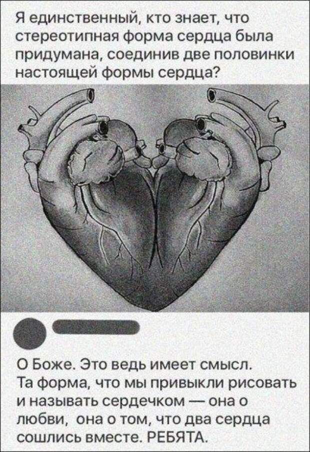 Прикольные картинки в ассортименте!!!