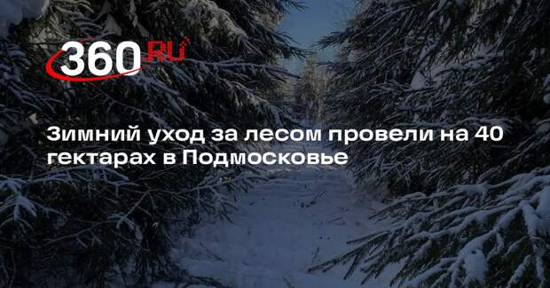 Зимний уход за лесом провели на 40 гектарах в Подмосковье