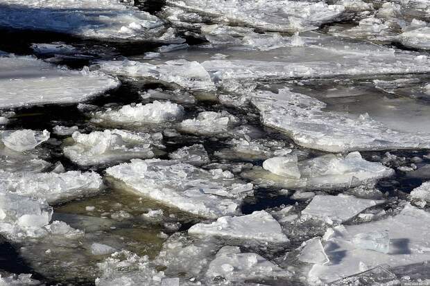 На пруду в Екатеринбурге спасли рыбаков