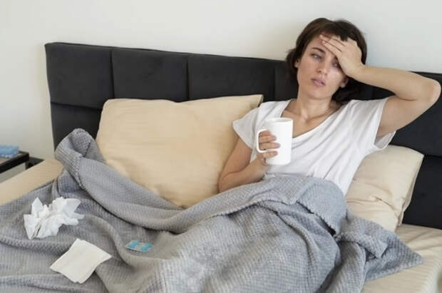 Врач Онищенко оценил вероятность новой пандемии в РФ из-за вируса Нипах