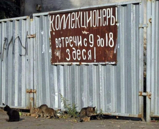 Коллекционеры бывают разные. | Фото: ibigdan в открытом космосе. Коллекционеры бывают разные. | Фото: ibigdan в открытом космосе.