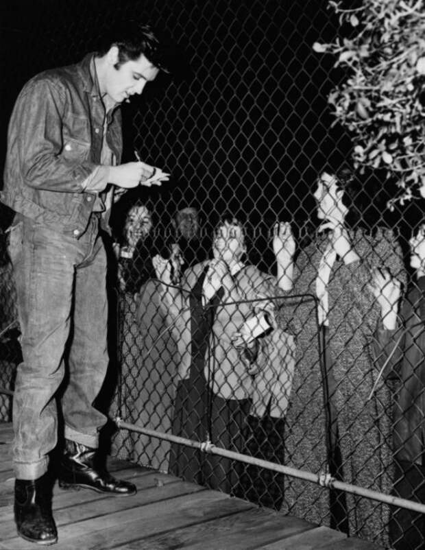 The special edition: Elvis Presley