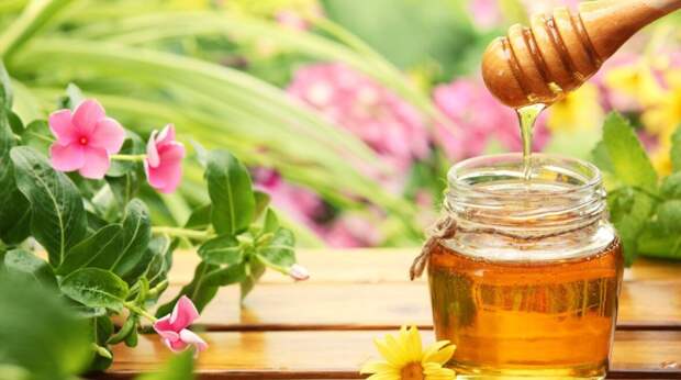 Как выбрать качественный натуральный мед