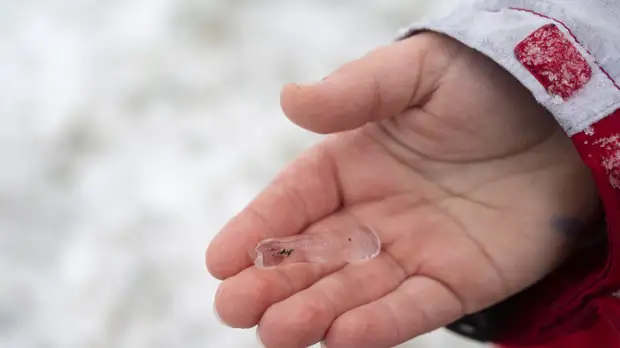 Дерматолог Котова назвала покраснение и покалывание симптомами обморожения