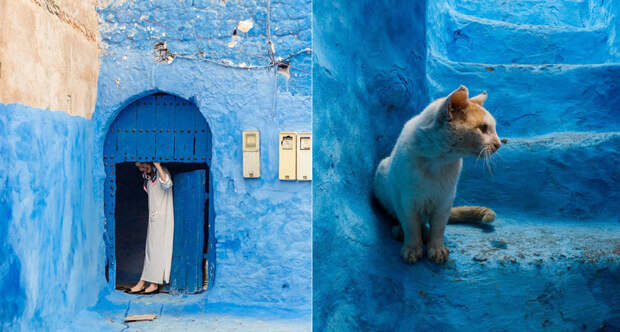 Blue pearl chefchaouen tiago tania thumbnail 2