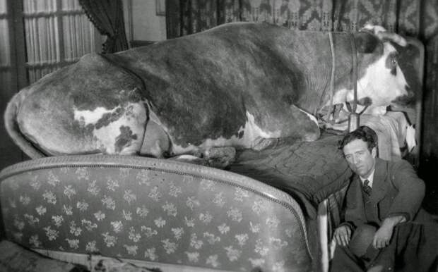 Кадр из фильма «Золотой век». Кадр из фильма «Золотой век».