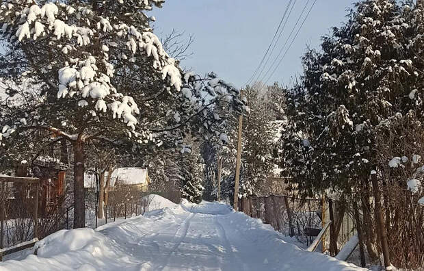 С 2028 года у туляков могут начать изымать дачные участки