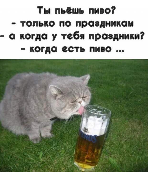 Приколы про алкоголь после прошедших выходных