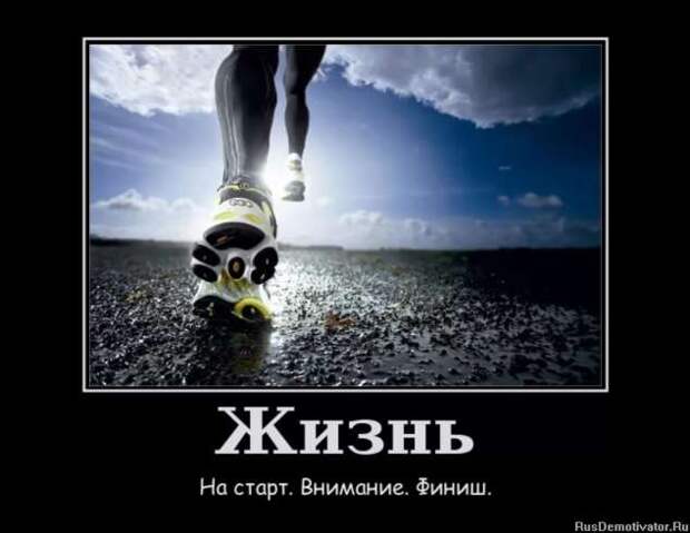Прикольные демотиваторы с надписями. Подборка chert-poberi-dem-chert-poberi-dem-27280614122020-9 картинка chert-poberi-dem-27280614122020-9