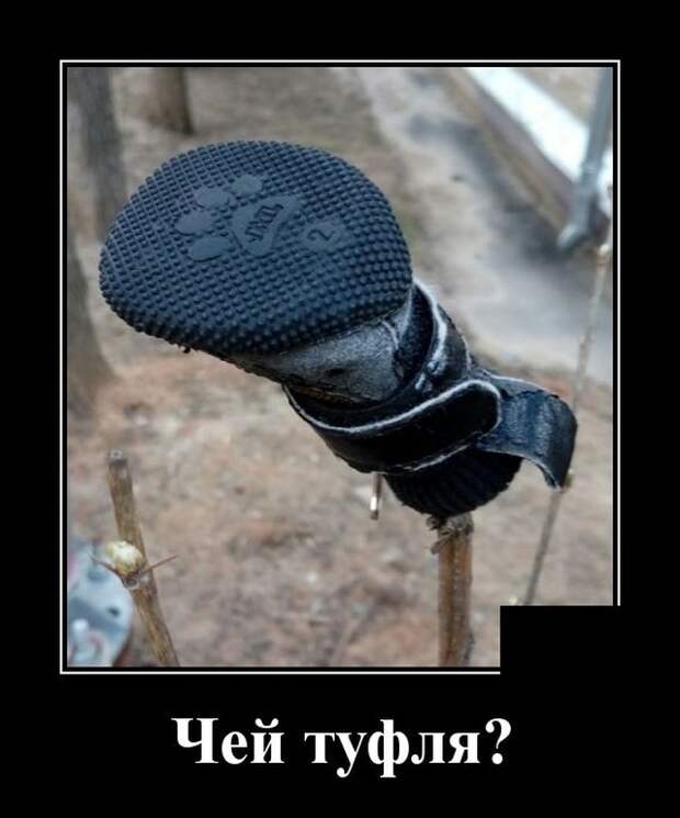 demotivatory-demotivator-smeshnye-demotivatory-demotivator-so-smyslom