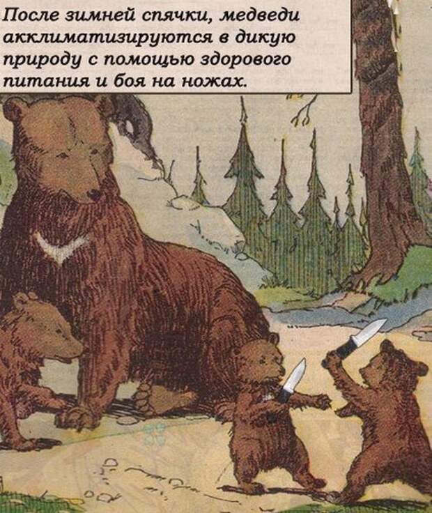 Колкий юмор Колкий юмор