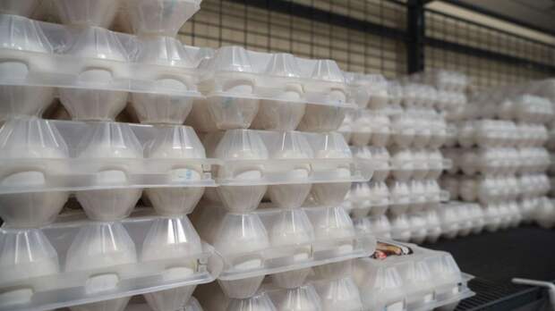 В Крыму самые низкие цены на яйца в России