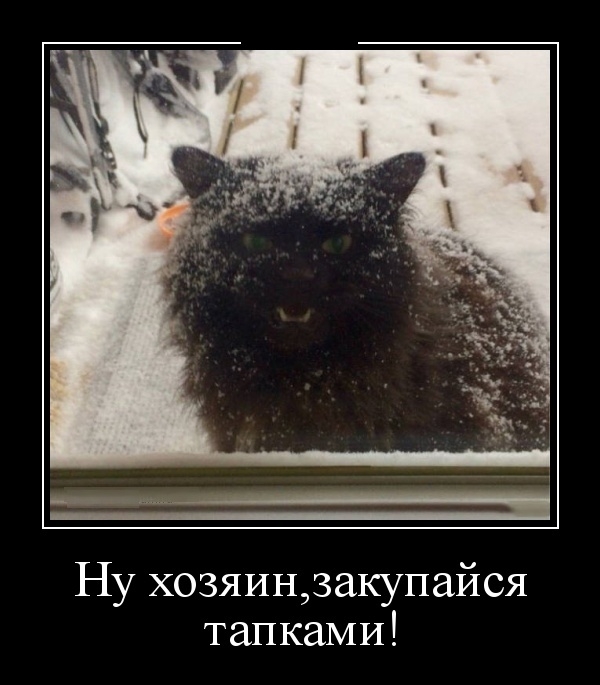 Демотиваторы