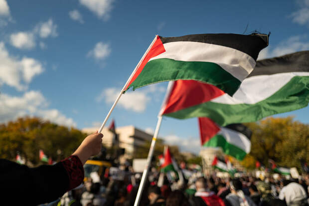 Посол Палестины в Австрии Шафи назвал важным шагом каждое новое признание страны