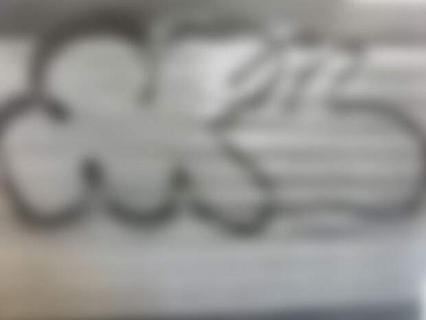 Еще один вандал попался в руки ярославской полиции