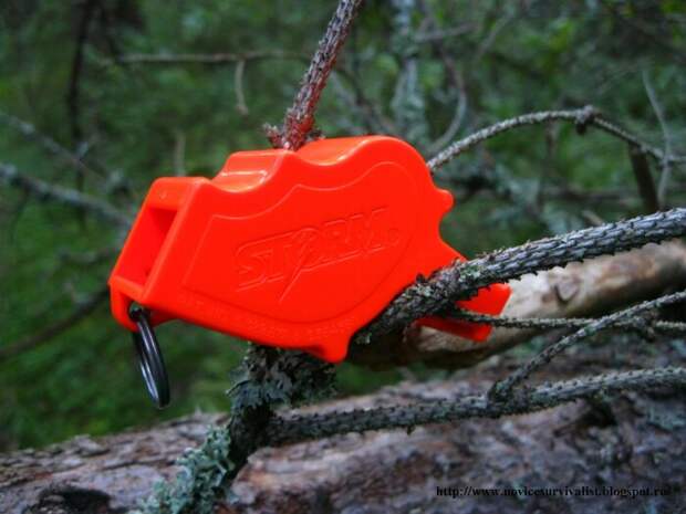 Полезно иметь свисток. /Фото: blogspot.com. Полезно иметь свисток. /Фото: blogspot.com.