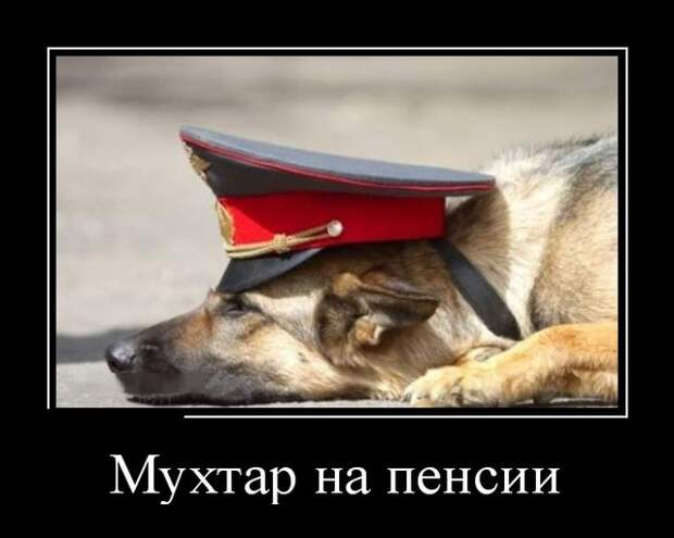 Демотиваторы (30 фото)