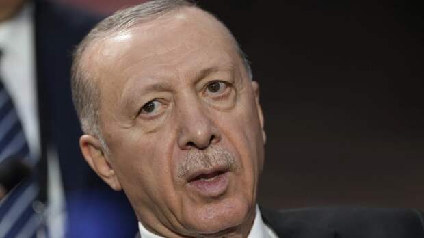 Эрдоган заявил, что Израиль втягивает Ближний Восток в катастрофу