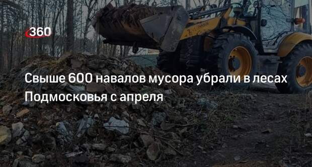 Свыше 600 навалов мусора убрали в лесах Подмосковья с апреля