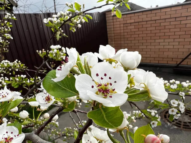 Шапки пока не убирайте: после аномального тепла россиян ожидает сюрприз