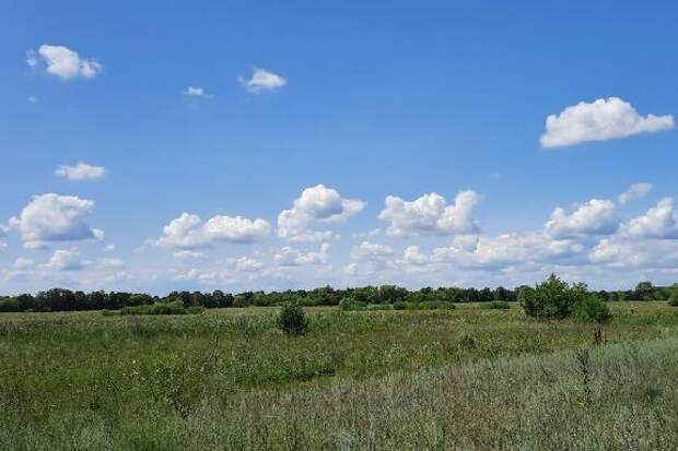 Более тысячи гектаров сельхозземель в Знаменском округе продают за 250 млн рублей