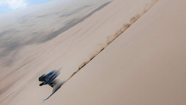 Рекорды 2025 года: яркие, вдохновляющие, милые и странные