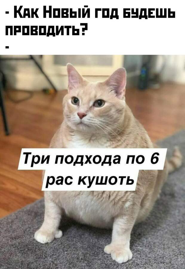Подборка картинок (32 фото)