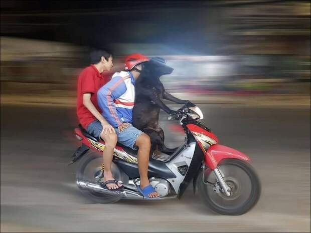 фото приколы