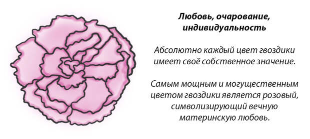 У каждого месяца есть цветок-покровитель. Какой он у вас?