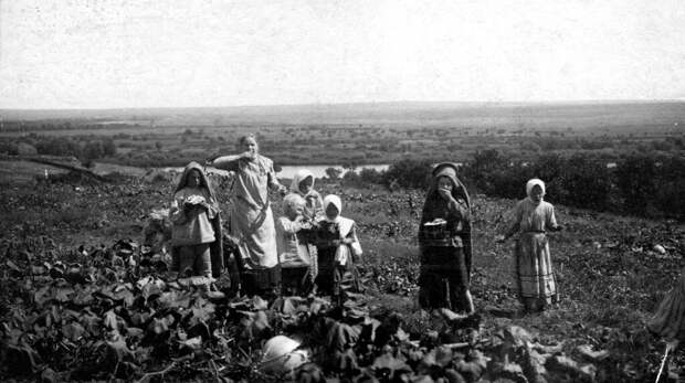 Крестьянские дети на бахче Ипполит Прощаков, 1 августа 1890 - 30 сентября 1899 год, обл. Войска Донского в пригороде г. Новочеркасска, из архива Ивана Петровича Второва.