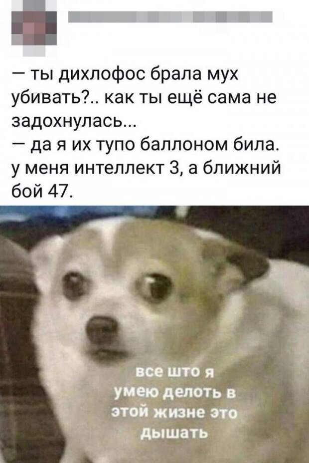 Скрины из социальных сетей