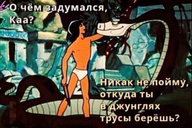 Смешные и познавательные картинки