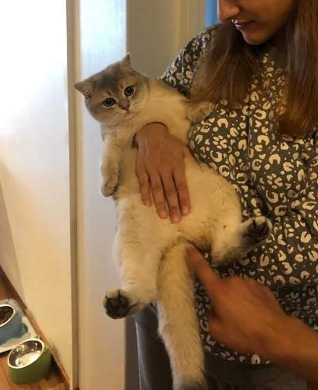 Немного снимков, авторы которых застали ошибки матрицы