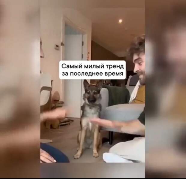 Прикольный тренд