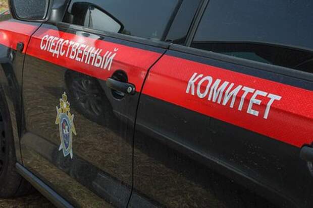 В российском регионе вскрыли схему хищения 84 миллионов рублей материнского капитала