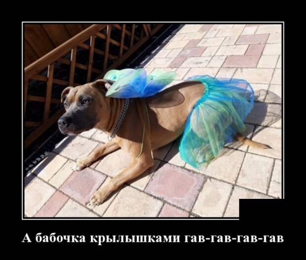 Демотиваторы (30 фото)