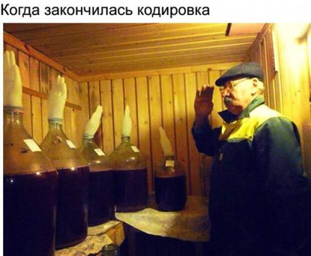 Новые прикольные фотомемы (23 шт)